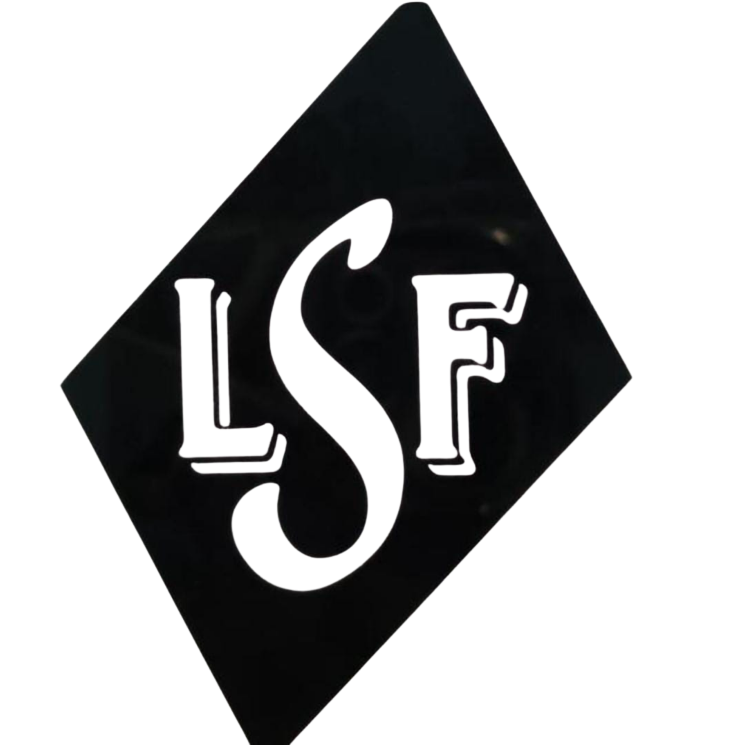 laxmisteelfurniture.com